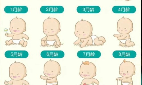 婴儿三个月体重没增长网 - 网站提供宝宝3个月起体重没怎么长小常识、婴儿三个月体重没增长正常吗
